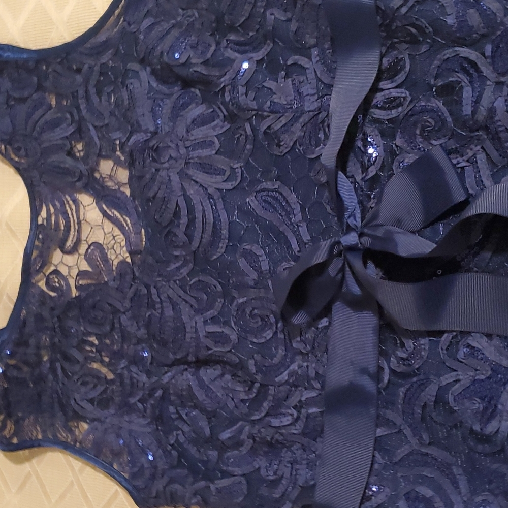 NWT Evening lace dress size 6 suitable for a special occasion.